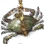 Dried Crab icon