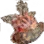 Dried Jellyfish icon