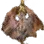 Dried Ray icon
