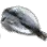 Dried Striped Shiner icon