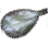 Dried Pacu icon