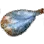Dried Porcupine Fish icon