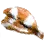 Dried Mackerel Pike icon