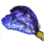 Dried Horn Fish icon
