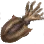 Dried Cuttlefish icon