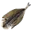 Dried Oily Shiner icon