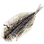 Dried Minnow icon