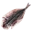 Dried Amur Ide icon