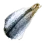 Dried Grass Carp icon