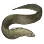 Dried Stippled Gunnel icon