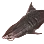 Dried Tiger Shark icon