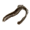 Dried Lamprey icon