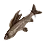 Dried Yalu Grayling icon