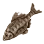 Dried Spined Bittering icon