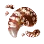 High-quality Red-spotted Amanita Hypha icon