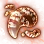 Mysterious Red-spotted Amanita Hypha icon