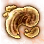 Mysterious Mesima Hypha icon