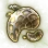 Mysterious Dictyophora Hypha icon