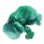 Mutant Plant icon