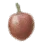Premature Fruit icon