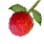 Unusual Fruit icon