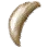 Blue Whale Molar icon