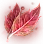 Blush Leaf icon