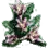 Magical Mandragora icon