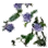 Witch's Poison Herb icon