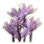 Saffron with Strong Scent icon