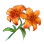Tigerflower icon