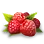 Ripe Wild Berry icon