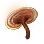 Youngji Mushroom icon