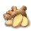 [Rural] Ginger icon