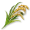 High-quality Rice icon