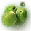 Dew-kissed Green Plum icon