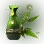 Bamboo Sap icon