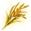 Strange and Beautiful Rice icon