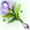 Strange and Beautiful Herb icon