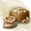 Mysterious Perilla Seed icon