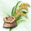 Mysterious Rice Seed icon