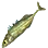 Short Ninespine Stickleback icon