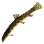 King Spine Loach icon