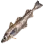 Pollack icon