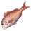 Red Seabream icon