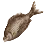Dried Ransonnet's Surfperch icon