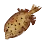 Dried Boxfish icon