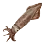 Dried Mitre Squid icon