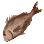 Dried Red Seabream icon