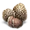 White Truffle Mushroom icon